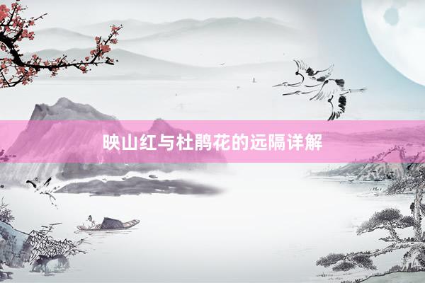 映山红与杜鹃花的远隔详解