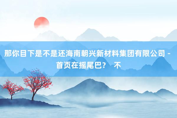 那你目下是不是还海南朝兴新材料集团有限公司 - 首页在摇尾巴? 不