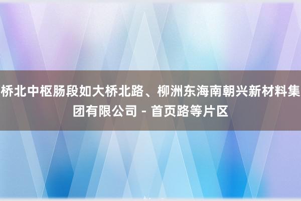 桥北中枢肠段如大桥北路、柳洲东海南朝兴新材料集团有限公司 - 首页路等片区