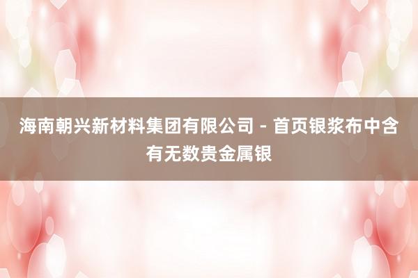 海南朝兴新材料集团有限公司 - 首页银浆布中含有无数贵金属银